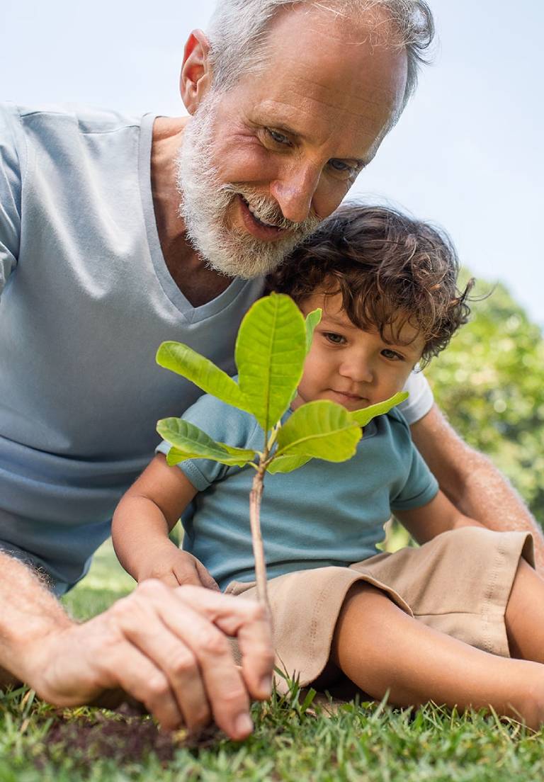 Homem idoso branco, ao lado de uma criança, plantando uma muda de árvore